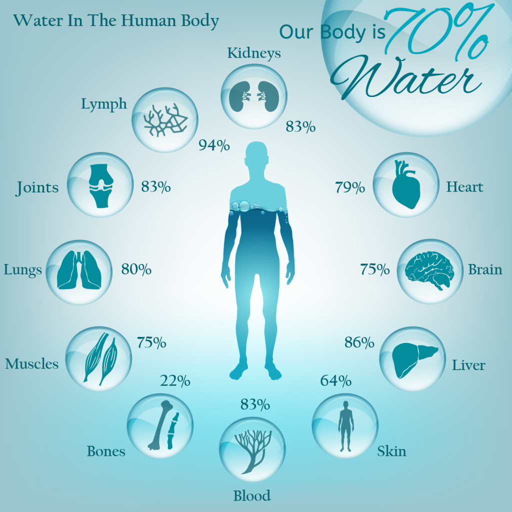 water in body