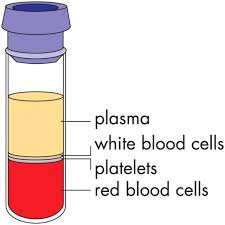 precautions for blood donation