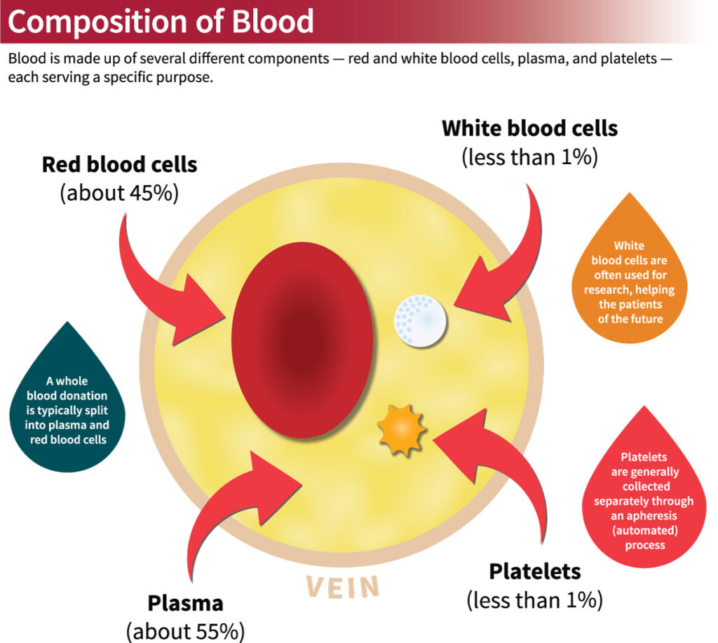 blood components