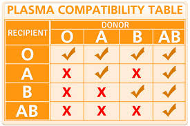 plasma group compatibility