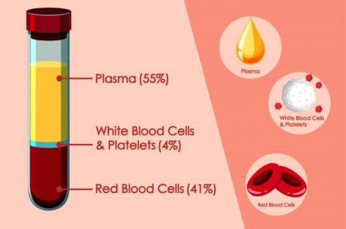 convalescet plasma donation