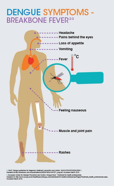 dengue infection due to mosquito bite