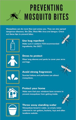 DENGUE SYMPTOMS AND PRECAUTIONS TO TAKE IN 2024 - BEST DONORS