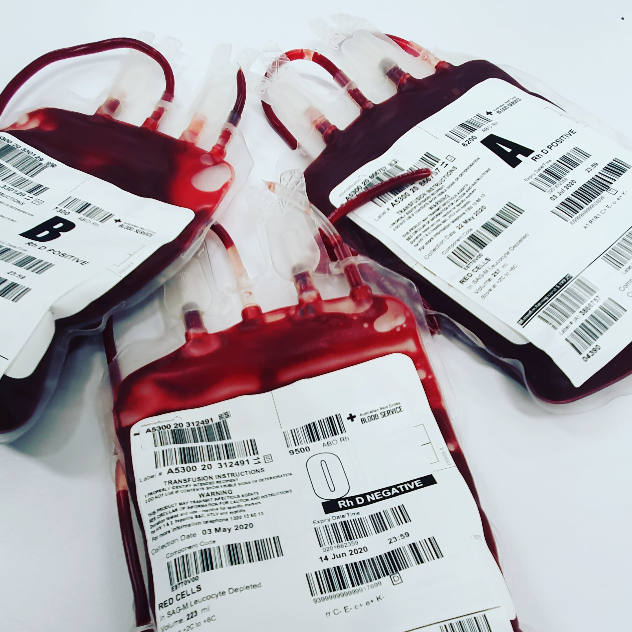 blood bank unit