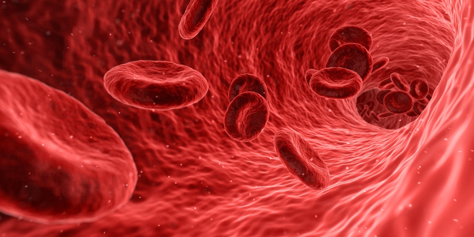 Red blood cell