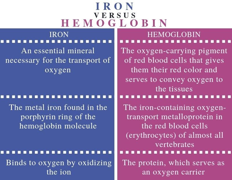 iron vs hemoglobin