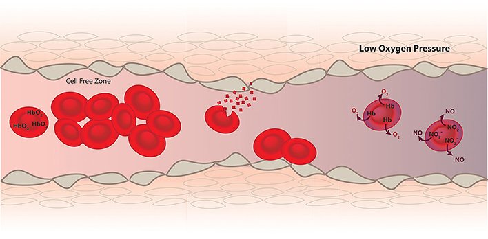 oxygen in red blood cells